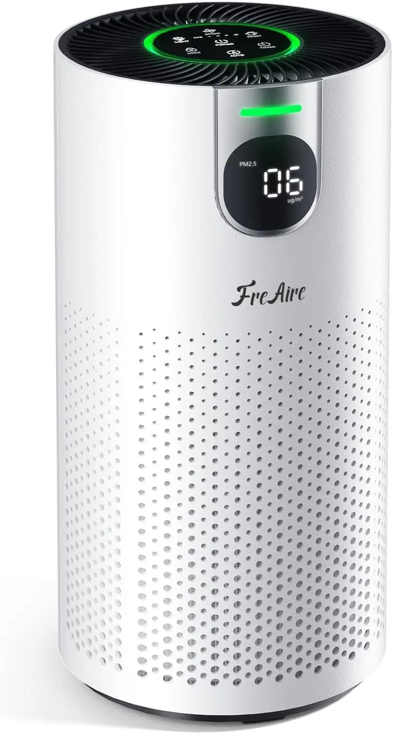 Large Room Air Purifier for Home