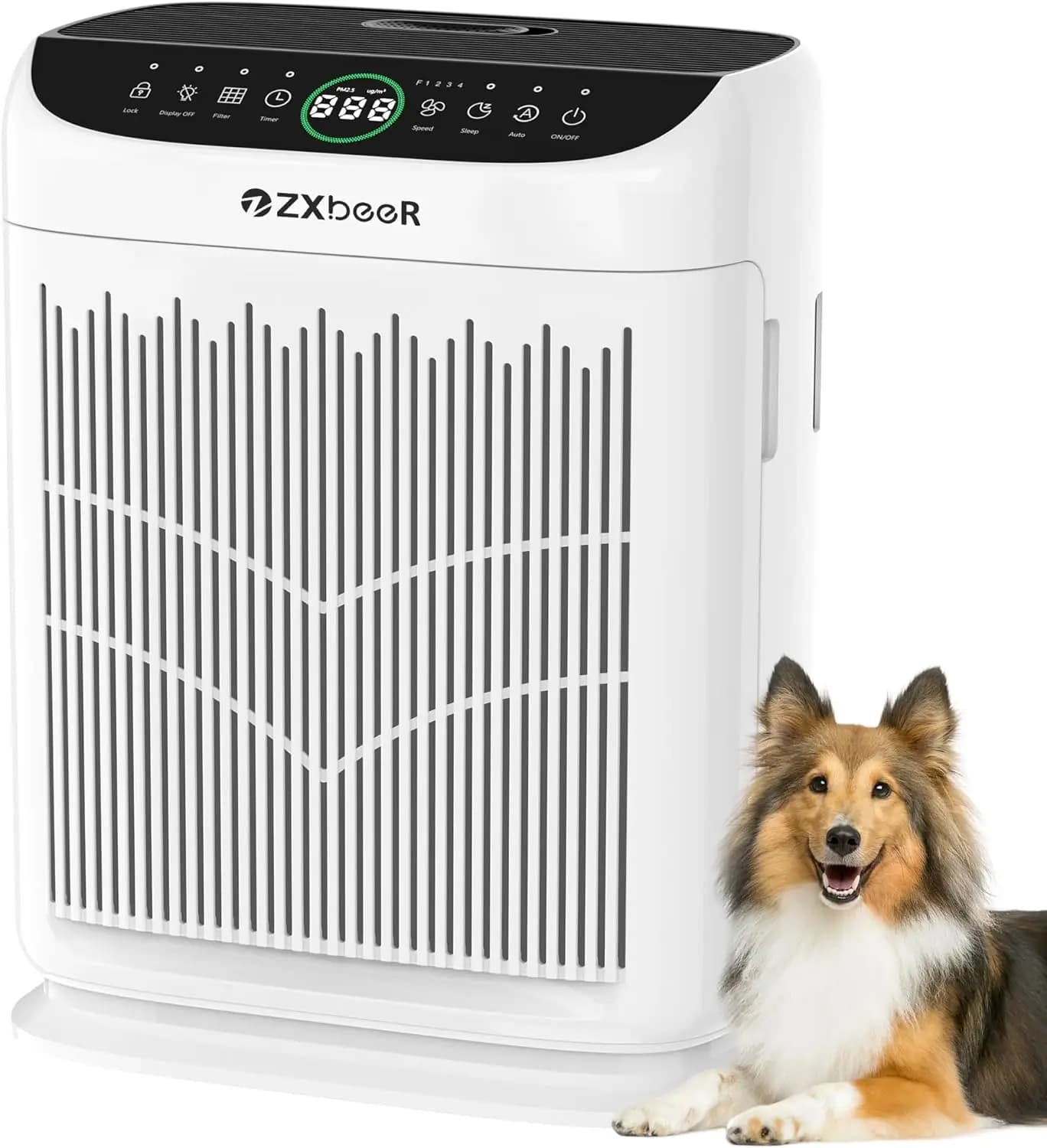 Large Room Air Purifier with Washable Filter