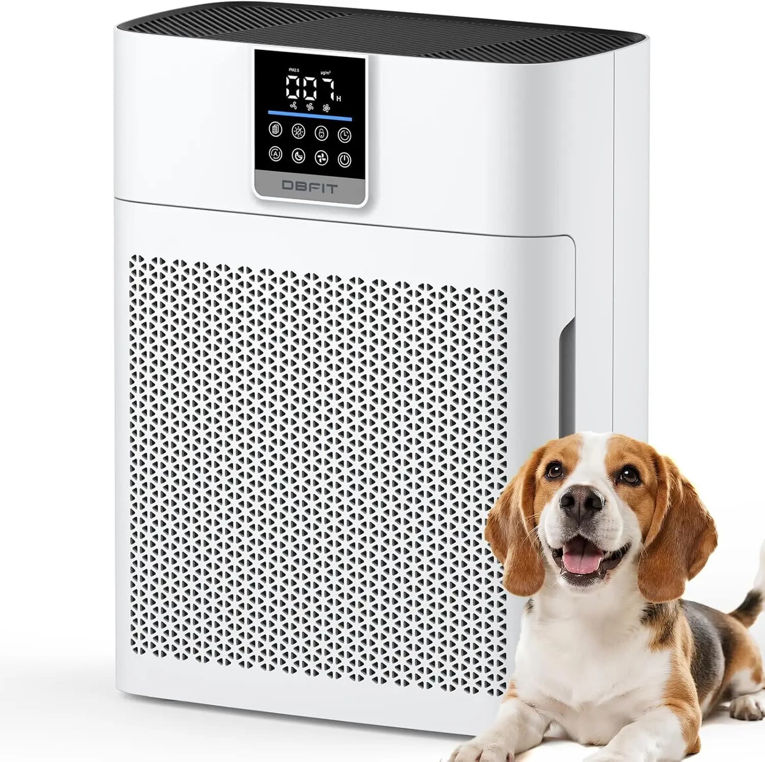 Large Room Air Purifier with HEPA Filter