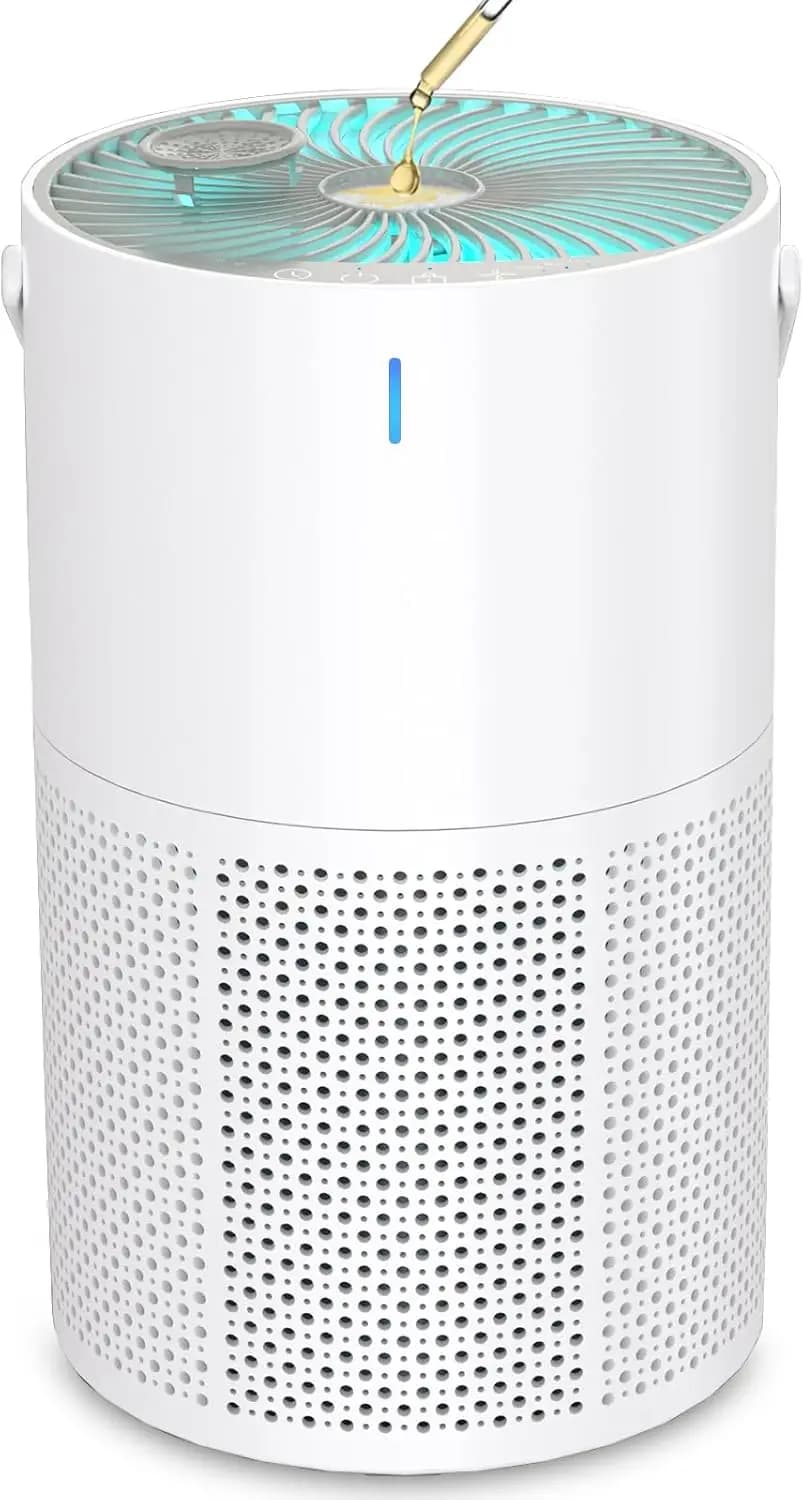 Large Room Air Purifier with H13 True HEPA Filter