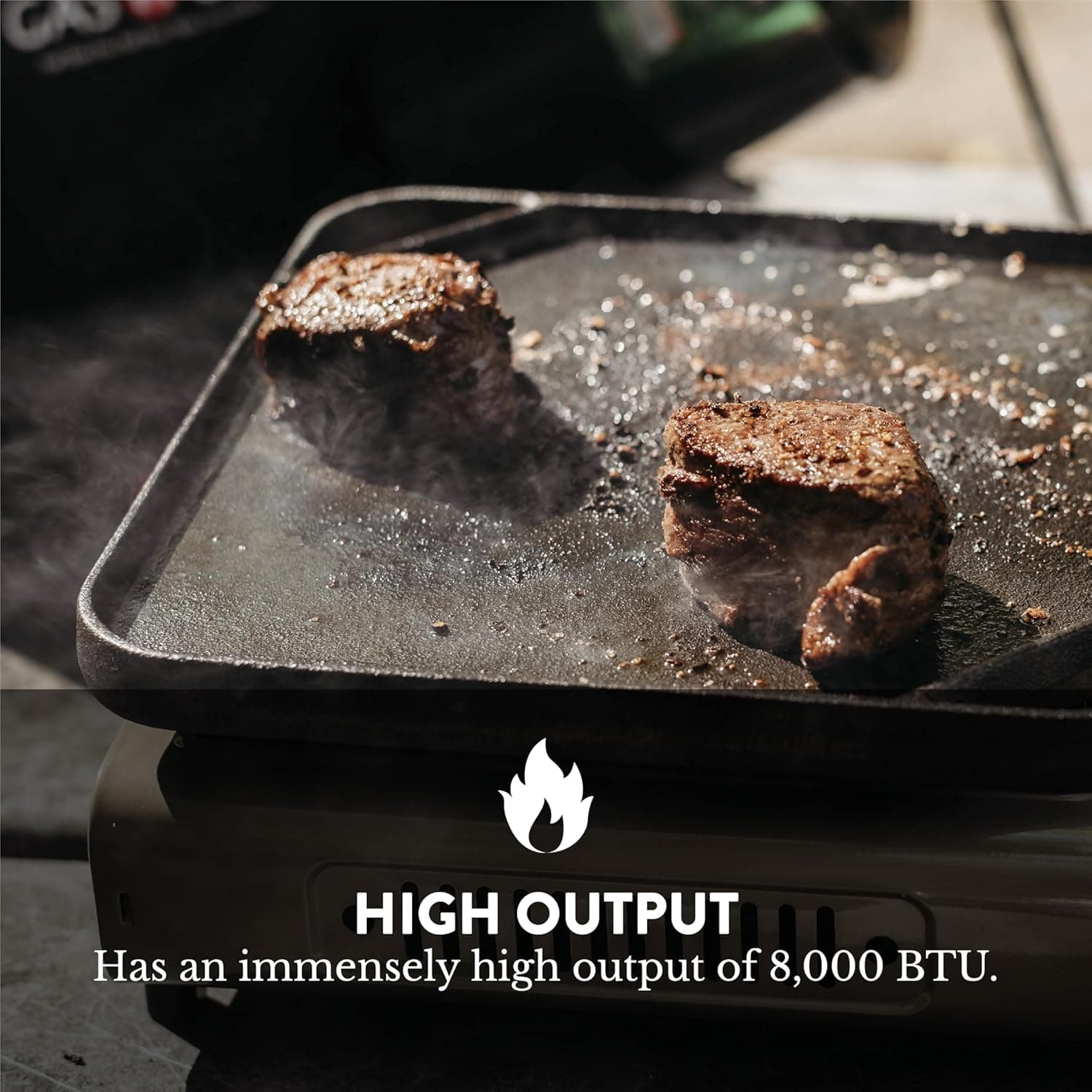 Gas One GS-3400P Portable Dual Fuel Camping Stove with Carrying Case - image 5